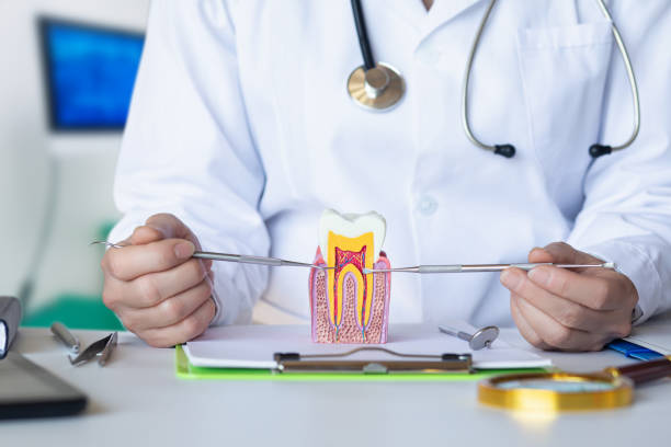 Best Knocked-Out Tooth Emergency  in Folly Beach, SC